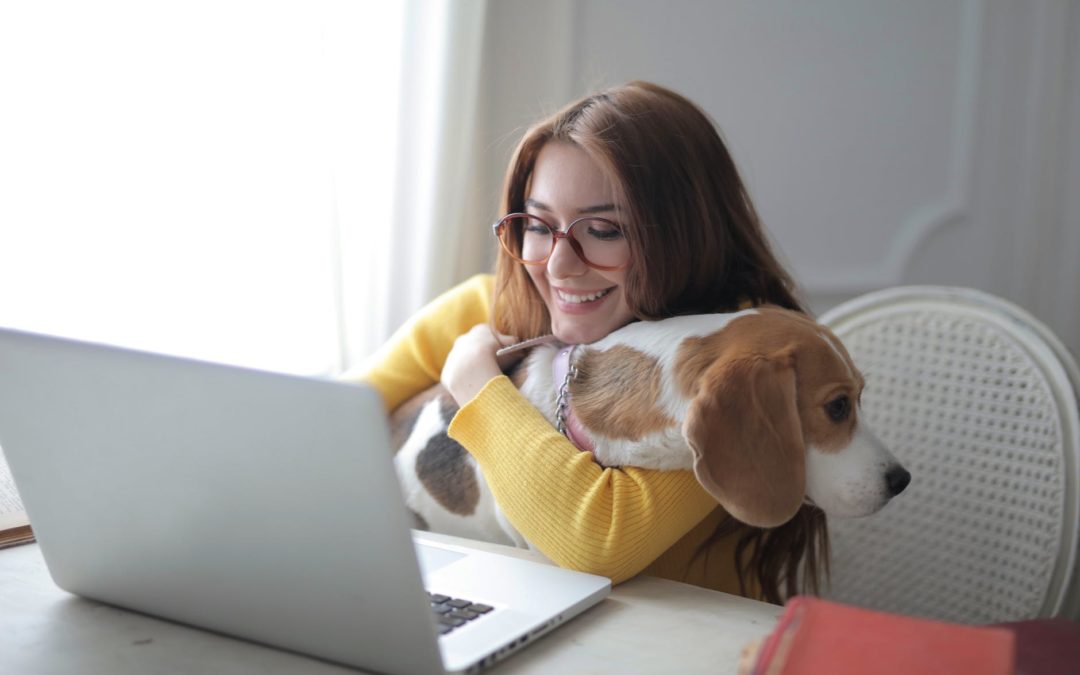 Woman hugging a beagle dog who sits in her lap while she types