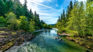 Scenic photo of a river on Oregon on a bright summer day