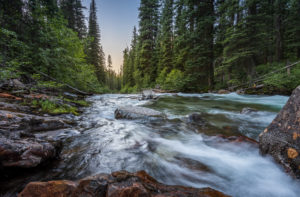 Scenic photo of the Lostine River and forest